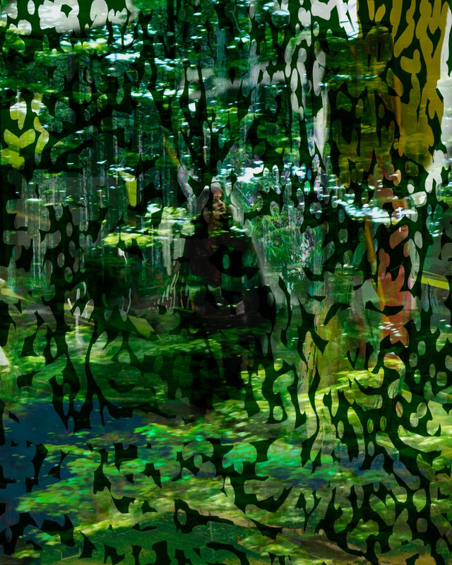 Alex Fischer, Brush Work, 2011-01-27, 60×48″ / 1524×1219㎜, print